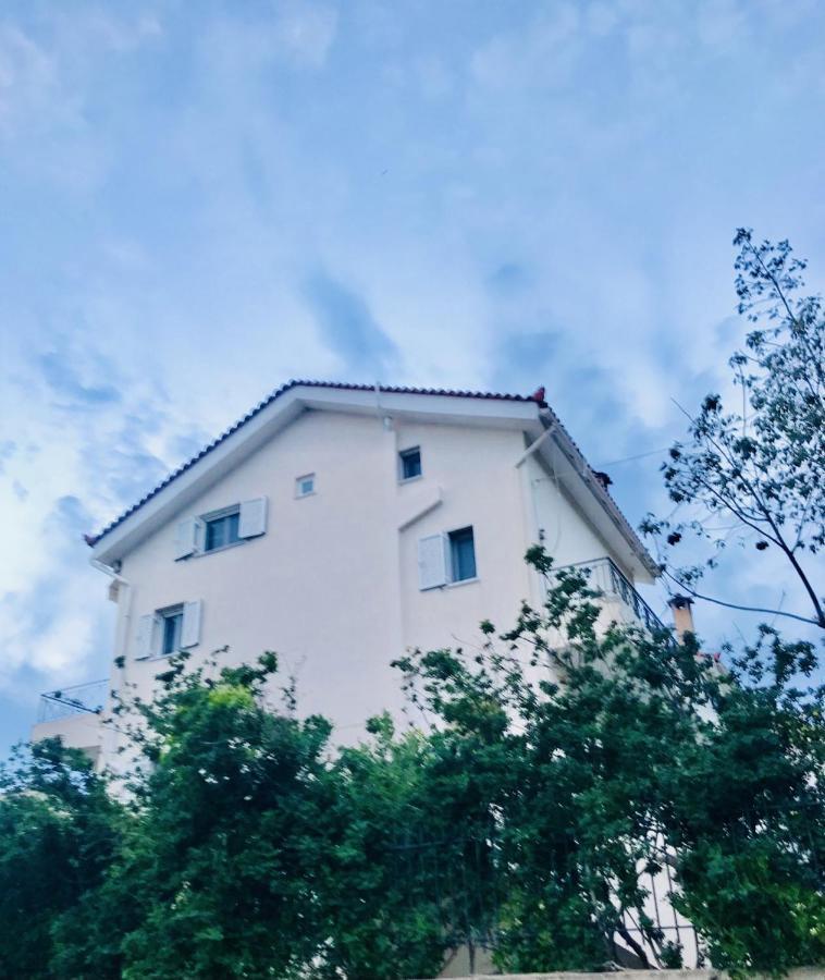 Beautiful Maisonette With A View To The Mountains And The Sea Agia Marina  Dış mekan fotoğraf